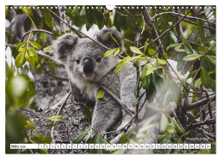 Produktbild: Australien Ostk&uuml;ste - von Cairns nach Sydney (Wandkalender 2026 DIN A3 quer), CALVENDO Monatskalender