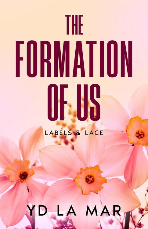 Produktbild: The Formation of Us (Labels & Lace, #1)