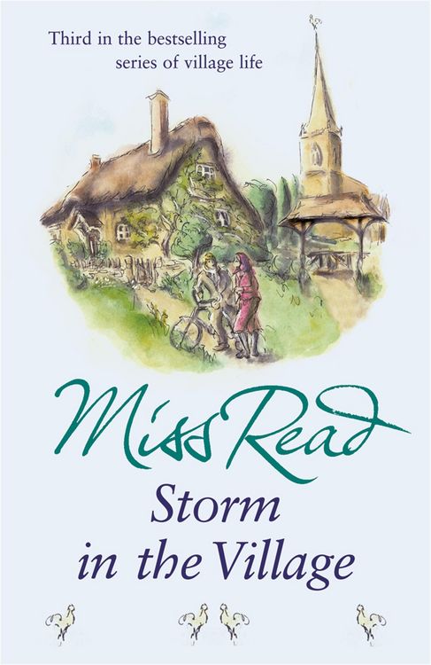Produktbild: Storm in the Village