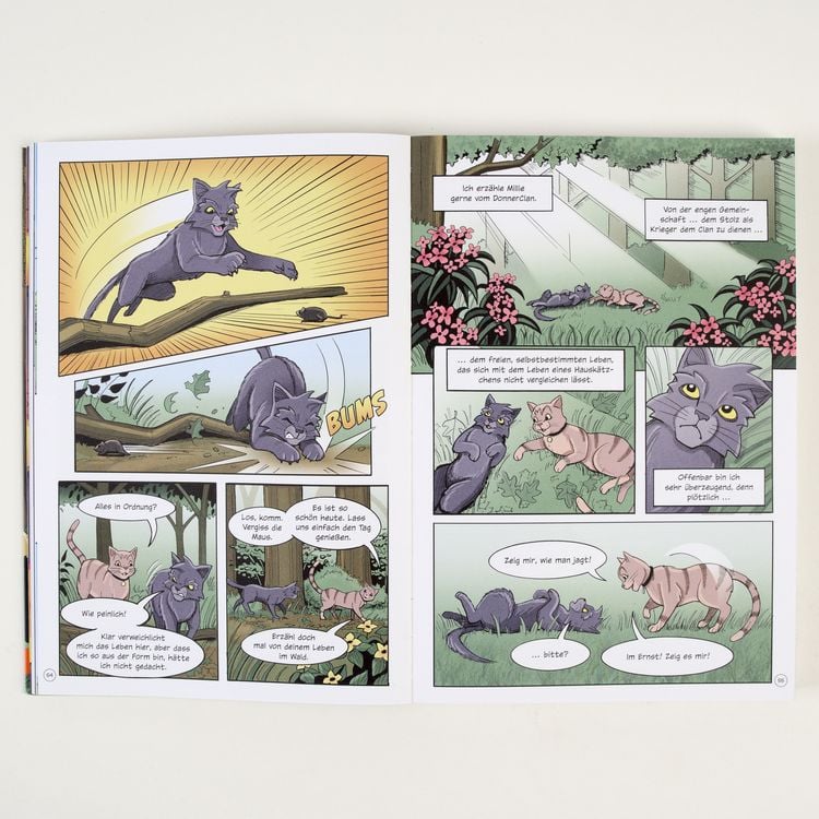 Produktbild: Warrior Cats - Graustreifs Weg zur&uuml;ck