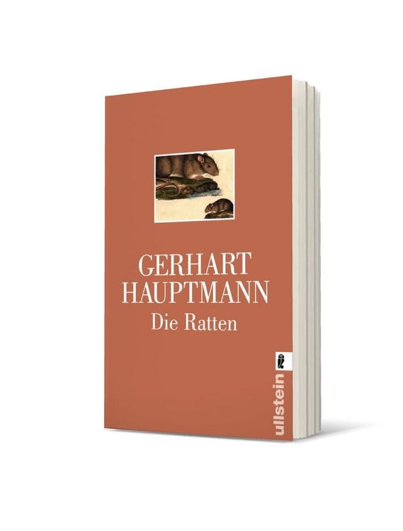 Produktbild: Die Ratten