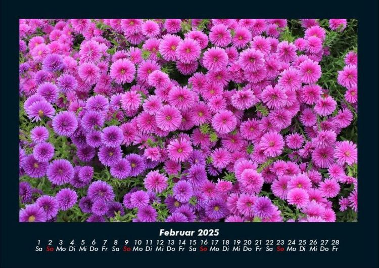 Produktbild: Blumenkalender 2025 Fotokalender DIN A4