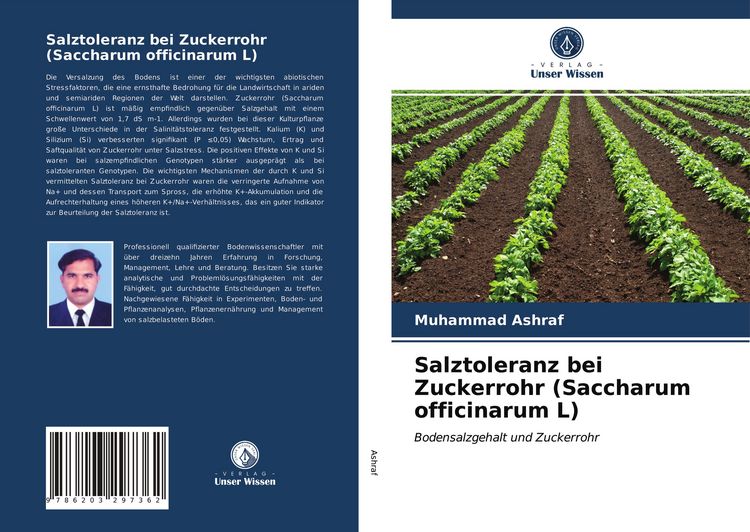 Produktbild: Salztoleranz bei Zuckerrohr (Saccharum officinarum L)