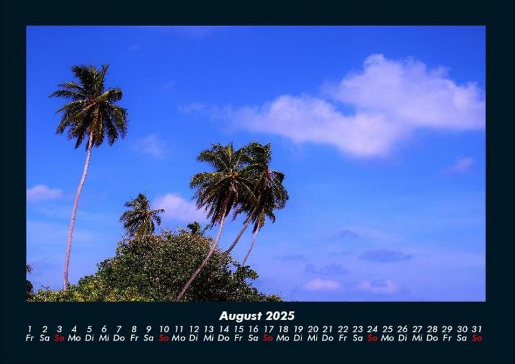Produktbild: Palmentraum 2025 Fotokalender DIN A4