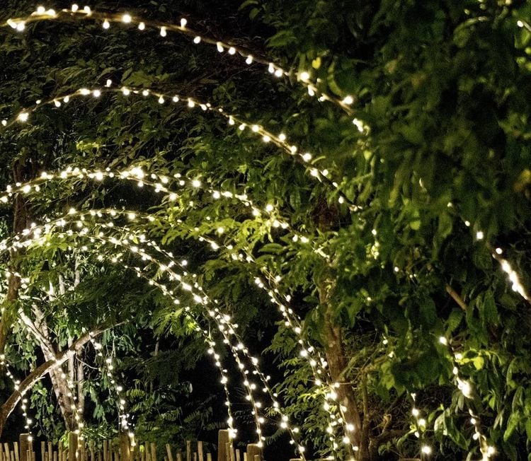 Produktbild: WS-SL02 100L Solar-Lichterkette LED 0.3W Grün