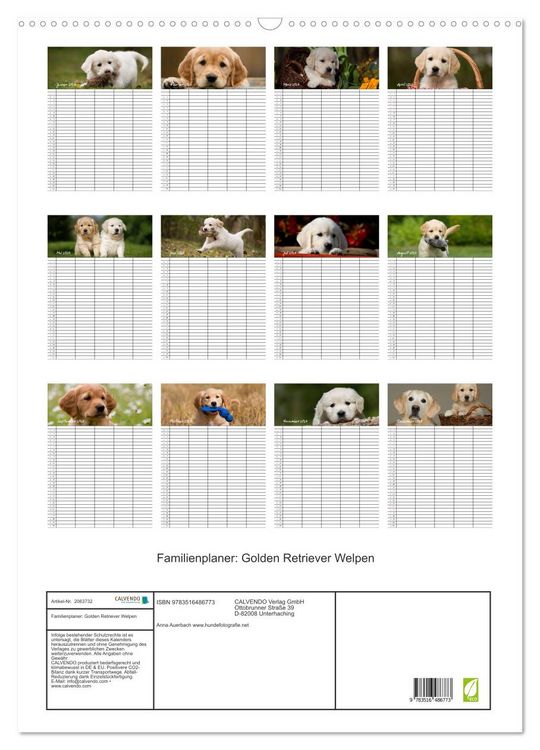 Produktbild: Familienplaner: Golden Retriever Welpen (Wandkalender 2026 DIN A2 hoch), CALVENDO Monatskalender