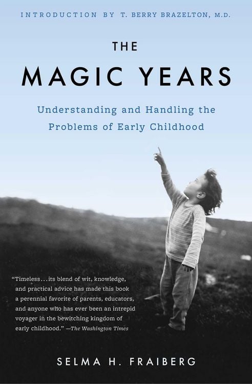 Produktbild: The Magic Years