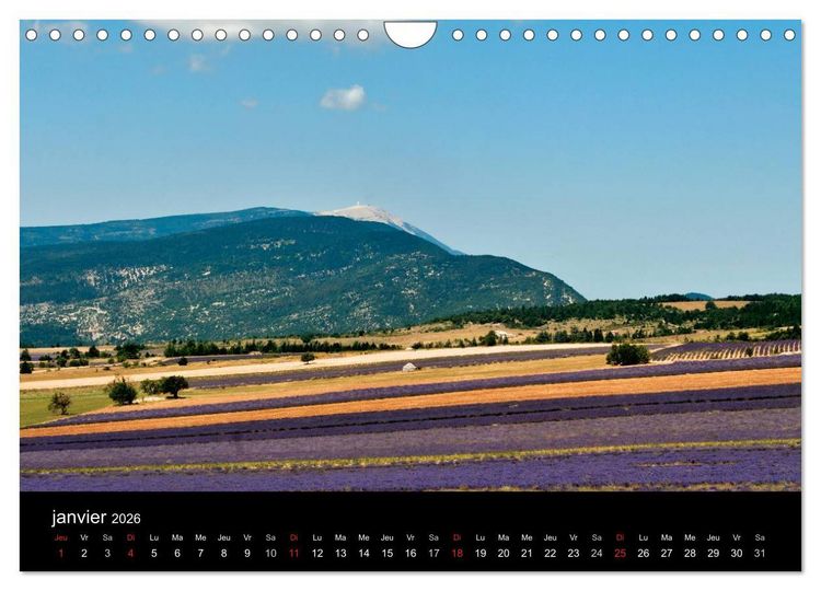 Produktbild: Lavande, l'or bleu de Provence (Calendrier mural 2026 DIN A4 vertical), CALVENDO calendrier mensuel