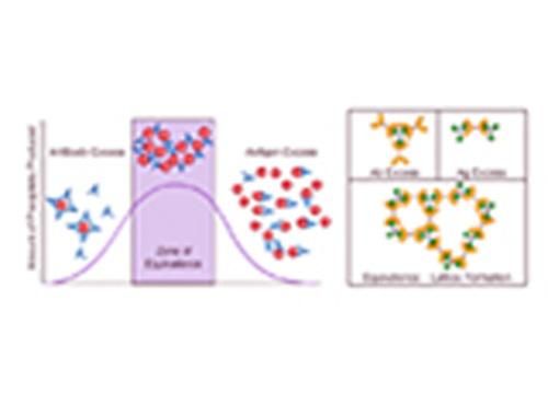 Produktbild: Immunochemical Methods 1