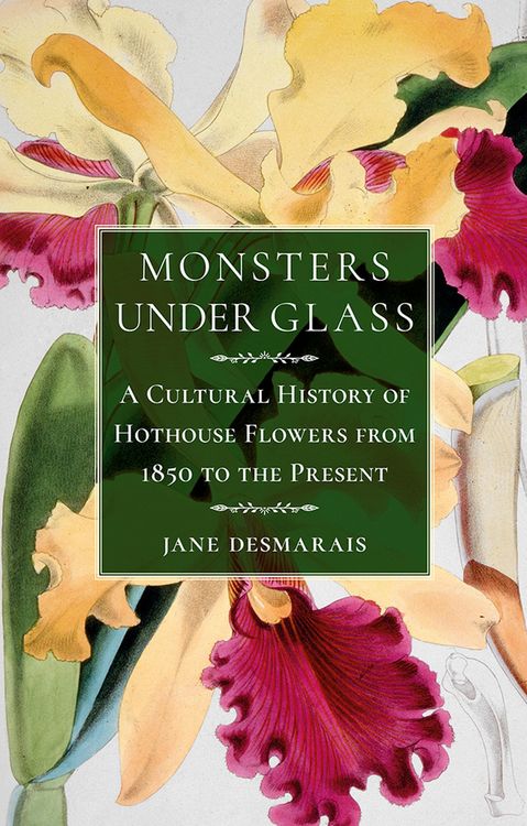 Produktbild: Monsters under Glass