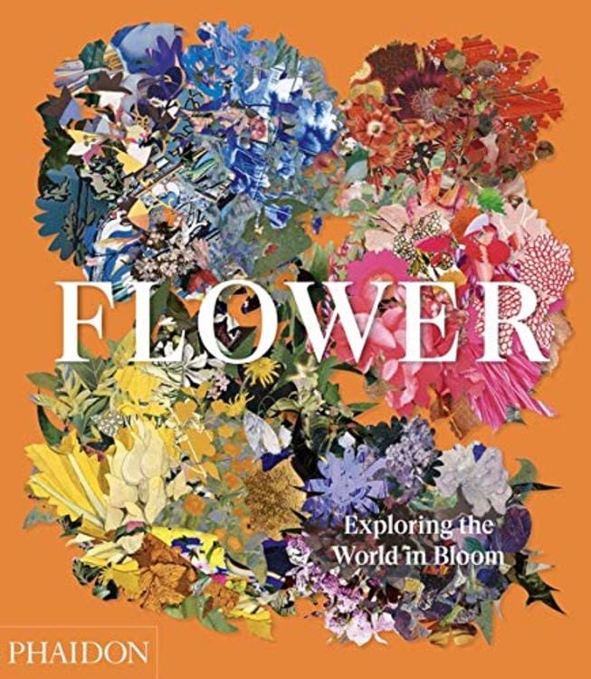 Produktbild: Flower: Exploring the World in Bloom