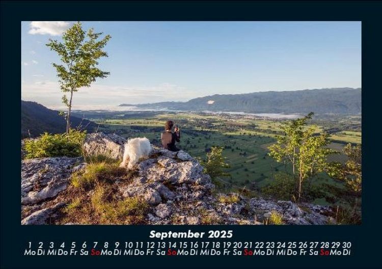 Produktbild: B&auml;ume 2025 Fotokalender DIN A5
