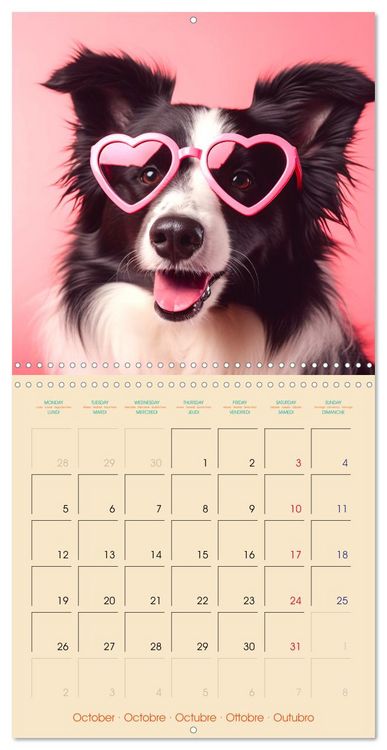 Produktbild: I see you - Animals with glasses (Wall Calendar 2026 12 &times; 12 Inch) CALVENDO 12 Month Wall Calendar