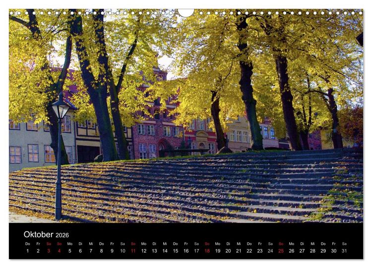 Produktbild: L&uuml;neburg und die L&uuml;neburger Heide (Wandkalender 2026 DIN A3 quer), CALVENDO Monatskalender