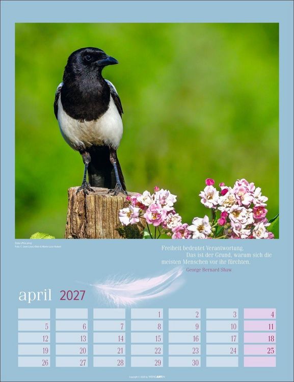 Produktbild: Heimische V&ouml;gel Kalender 2027