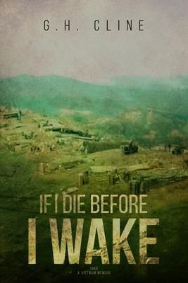 Produktbild: If I Die Before I Wake