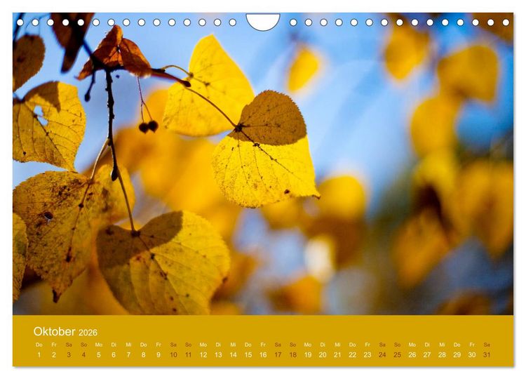 Produktbild: Farbwechsel - Die Farben der vier Jahreszeiten (Wandkalender 2026 DIN A4 quer), CALVENDO Monatskalender
