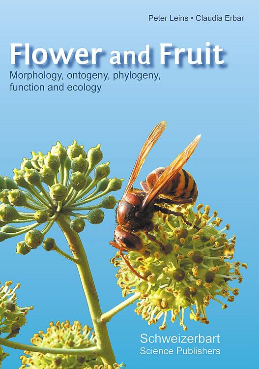 Produktbild: Flower and Fruit