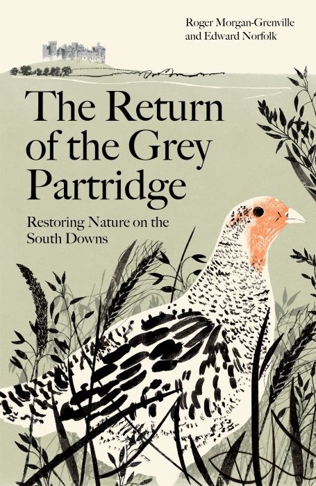 Produktbild: The Return of the Grey Partridge