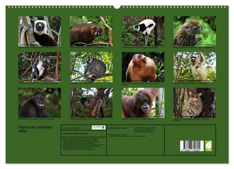 Produktbild: Planet der seltenen Affen (hochwertiger Premium Wandkalender 2026 DIN A2 quer), Kunstdruck in Hochglanz