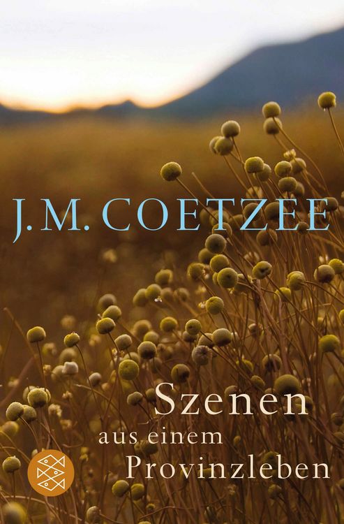 Produktbild: Szenen aus einem Provinzleben