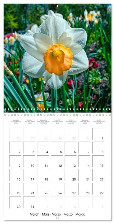 Produktbild: Harmonie Florale Des Pr&eacute;s aux Villes (Calendrier mural carr&eacute; 2026 30x30 cm) Calendrier double avec une page pour vos prises de notes