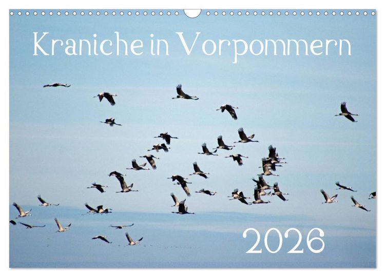 Produktbild: Kraniche in Vorpommern (Wandkalender 2026 DIN A3 quer), CALVENDO Monatskalender