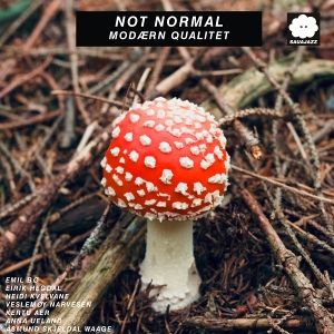 Produktbild: Modrn Qualitet