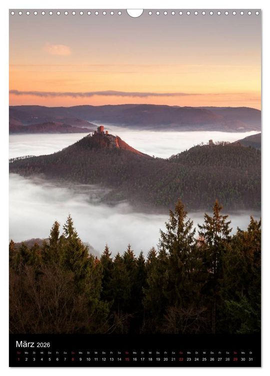 Produktbild: NATURWUNDER PF&Auml;LZERWALD (Wandkalender 2026 DIN A3 hoch), CALVENDO Monatskalender
