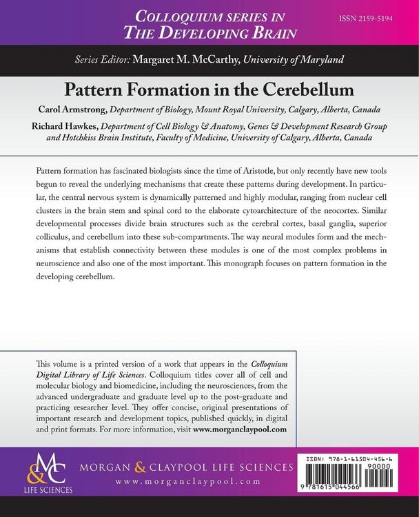 Produktbild: Pattern Formation in the Cerebellum