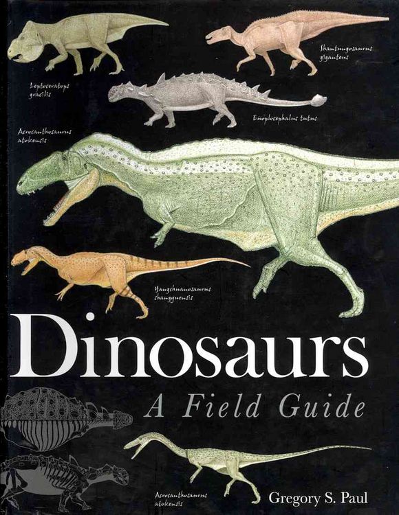 Produktbild: Paul, G: Dinosaurs