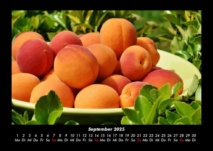 Produktbild: Fr&uuml;chte 2025 Fotokalender DIN A3