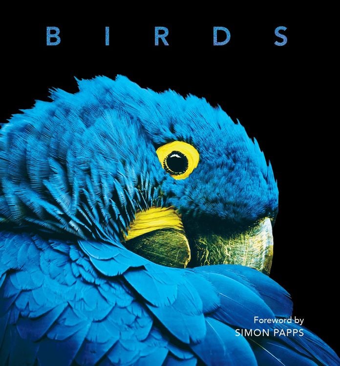 Produktbild: Birds
