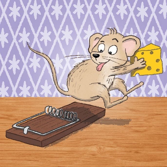 Produktbild: Schnapp den K&auml;se!