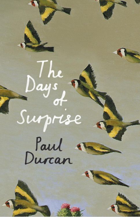 Produktbild: The Days of Surprise