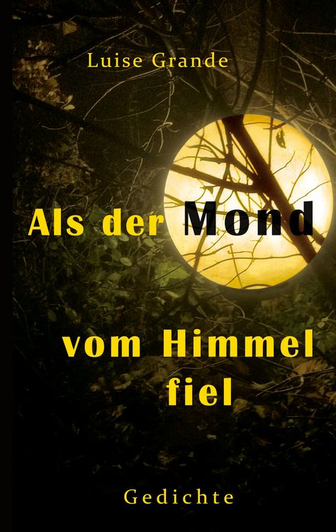 Produktbild: Als der Mond vom Himmel fiel
