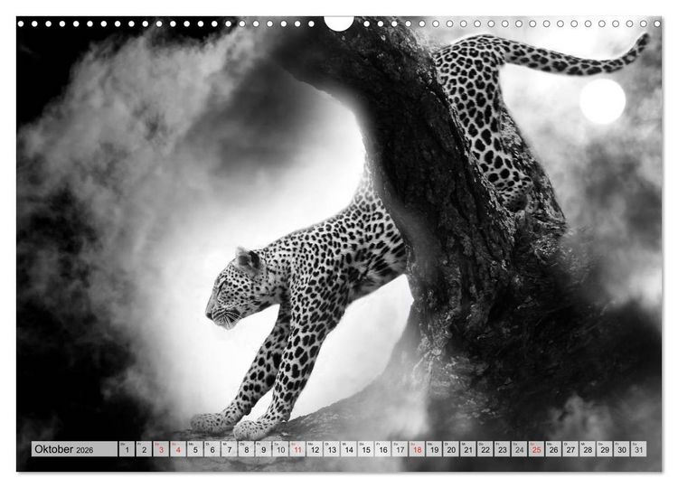 Produktbild: Wilde Tiere in schwarz-wei&szlig; (Wandkalender 2026 DIN A3 quer), CALVENDO Monatskalender