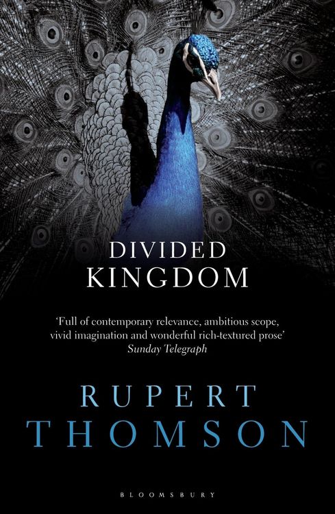 Produktbild: Divided Kingdom