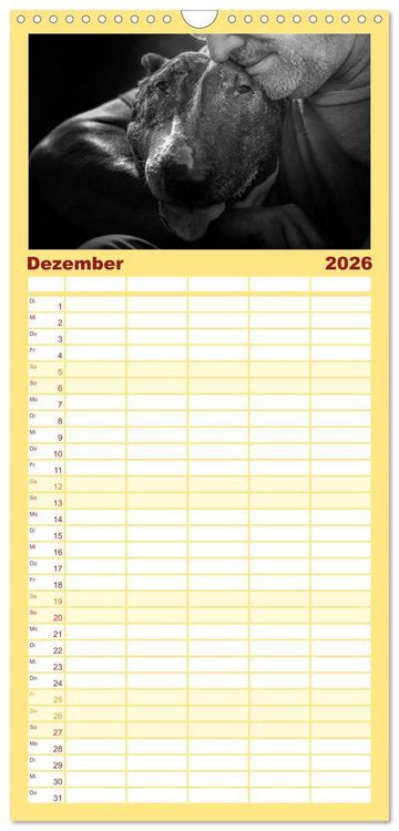 Produktbild: Familienplaner 2026 - Bullterrier mit 5 Spalten (Wandkalender, 21 x 45 cm) CALVENDO