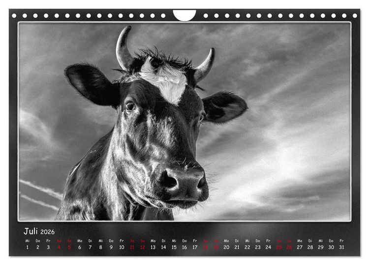 Produktbild: Tieren ins Gesicht geschaut (Wandkalender 2026 DIN A4 quer), CALVENDO Monatskalender