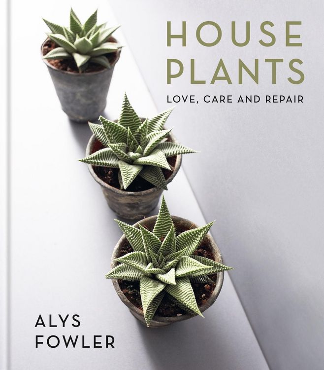 Produktbild: House Plants
