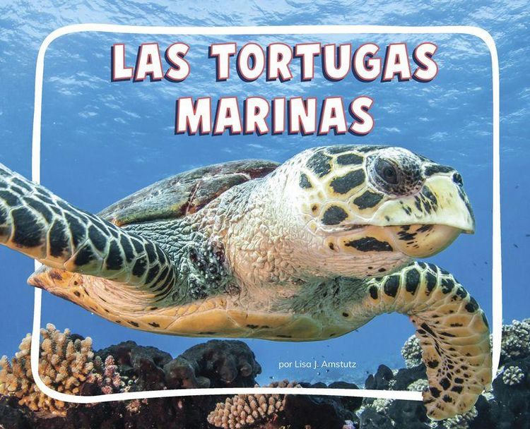 Produktbild: Las Tortugas Marinas (Sea Turtles)