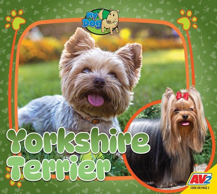 Produktbild: Yorkshire Terrier