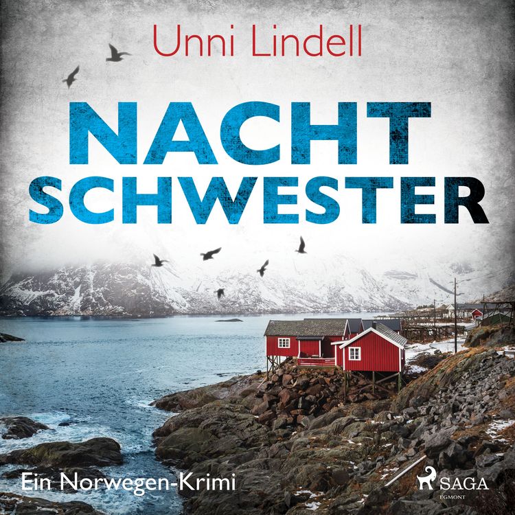 Produktbild: Nachtschwester &ndash; Ein Norwegen&ndash;Krimi