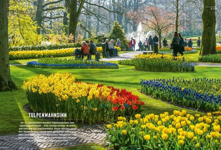 Produktbild: DUMONT Bildatlas Niederlande