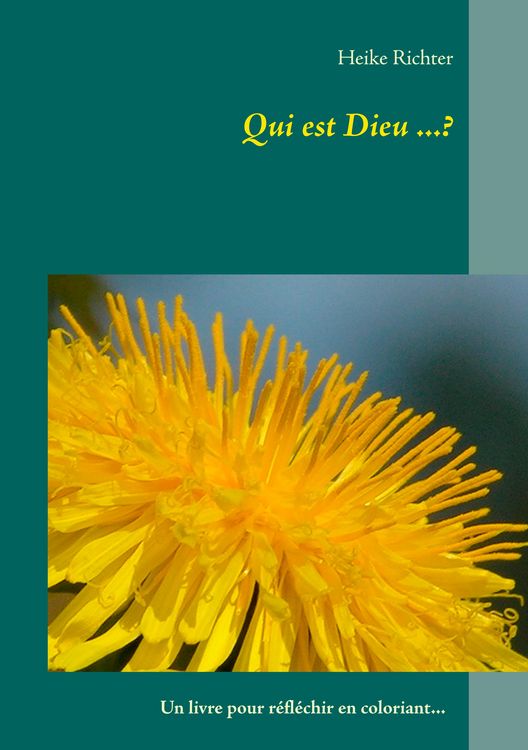 Produktbild: Qui est Dieu ...?