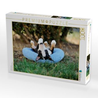 Produktbild: CALVENDO Puzzle Bullterrierwelpe | 1000 Teile Lege-Gr&ouml;&szlig;e 64x48cm Foto-Puzzle f&uuml;r gl&uuml;ckliche Stunden