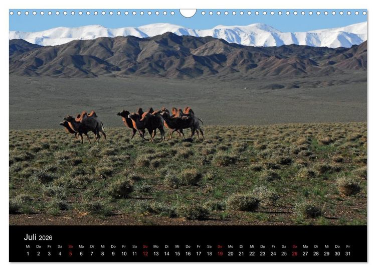Produktbild: Einsame Mongolei (Wandkalender 2026 DIN A3 quer), CALVENDO Monatskalender