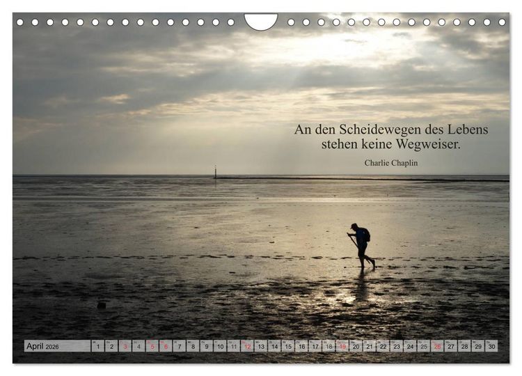 Produktbild: Weises (Wandkalender 2026 DIN A4 quer), CALVENDO Monatskalender