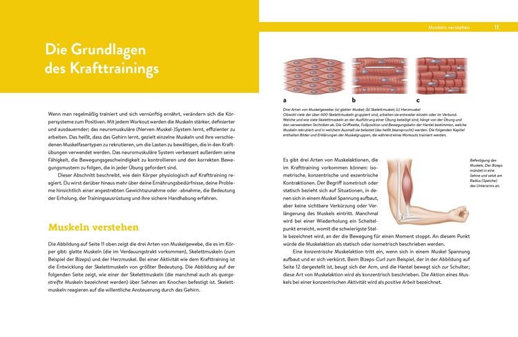 Produktbild: Krafttraining &ndash; Das Handbuch f&uuml;r Einsteiger